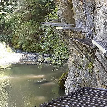 Penzión pre hostí Evika